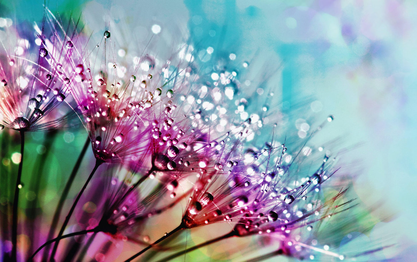 Radiance