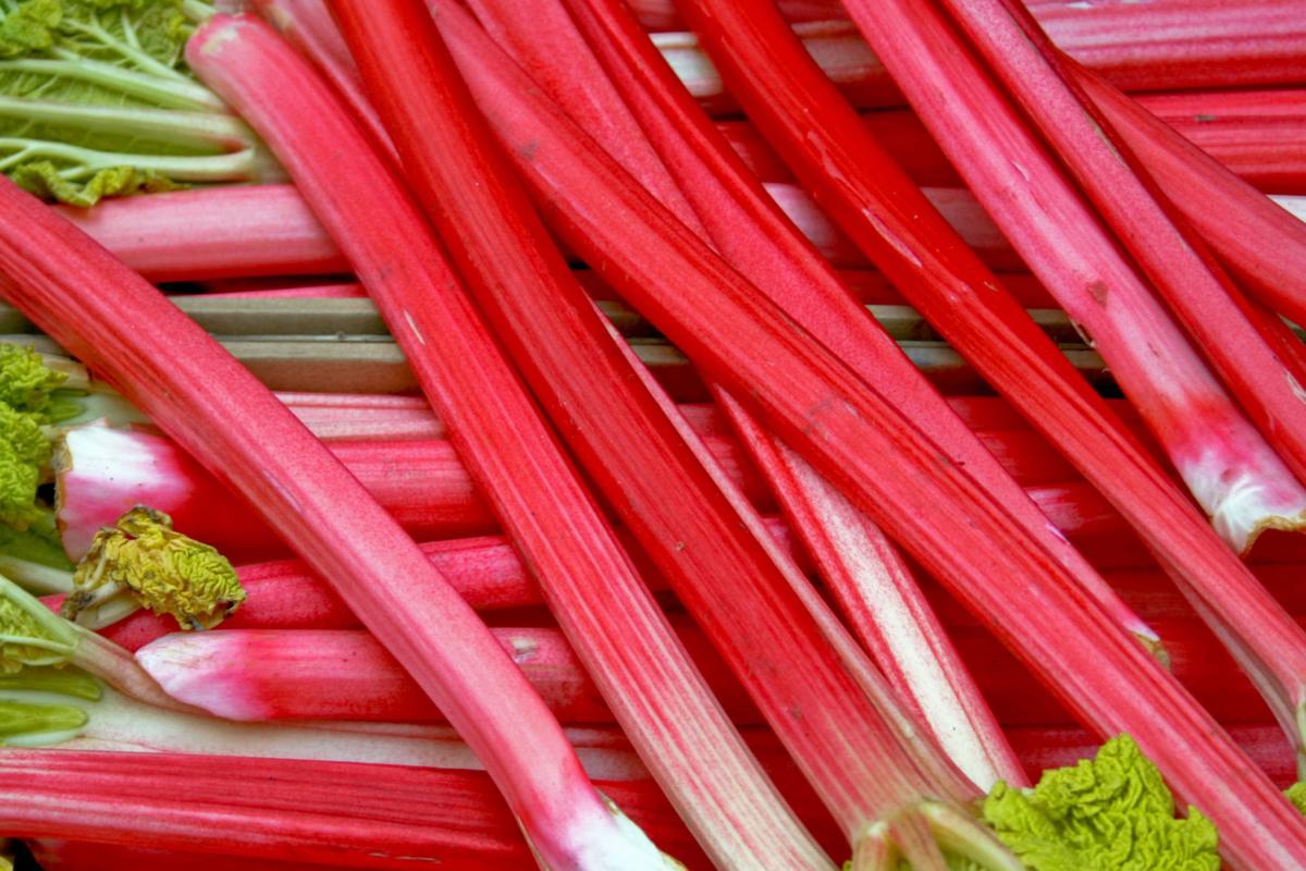 Zof Rhubarb & Bergamot Type