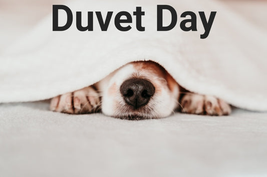 Duvet Day