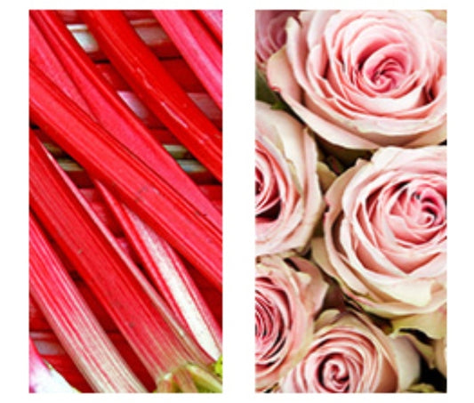 Rhubarb Roses Type