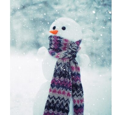 Chilly Willy