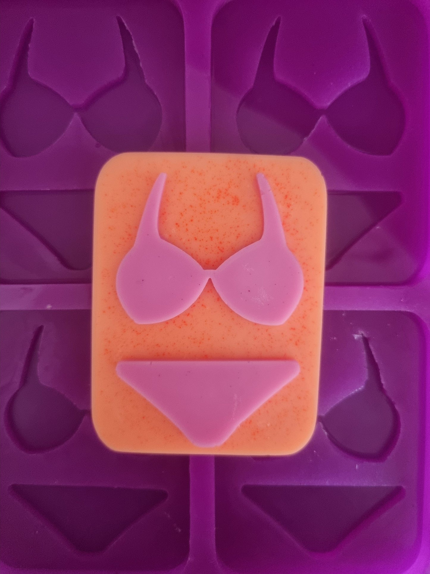 6 x Bikini Set Mold