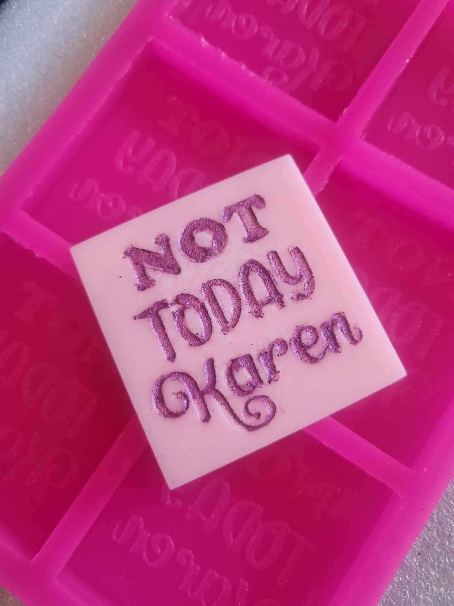 6 x Not Today Karen Mold