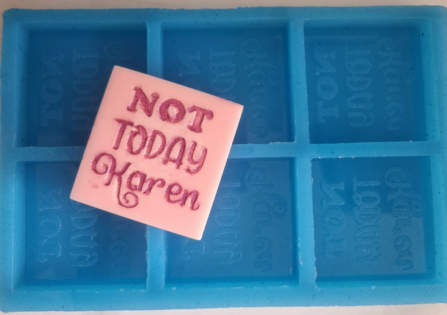 6 x Not Today Karen Mold