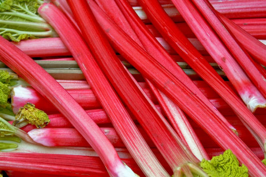 Zof Rhubarb & Bergamot Type