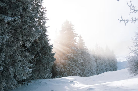 Zof Winter Morning Type